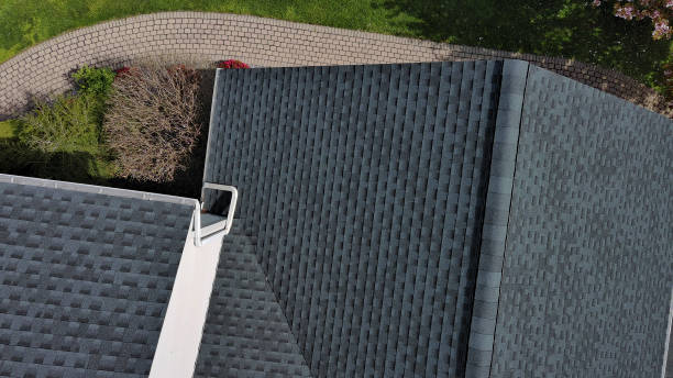 Roof Moss and Algae Removal in Billington Heights, NY